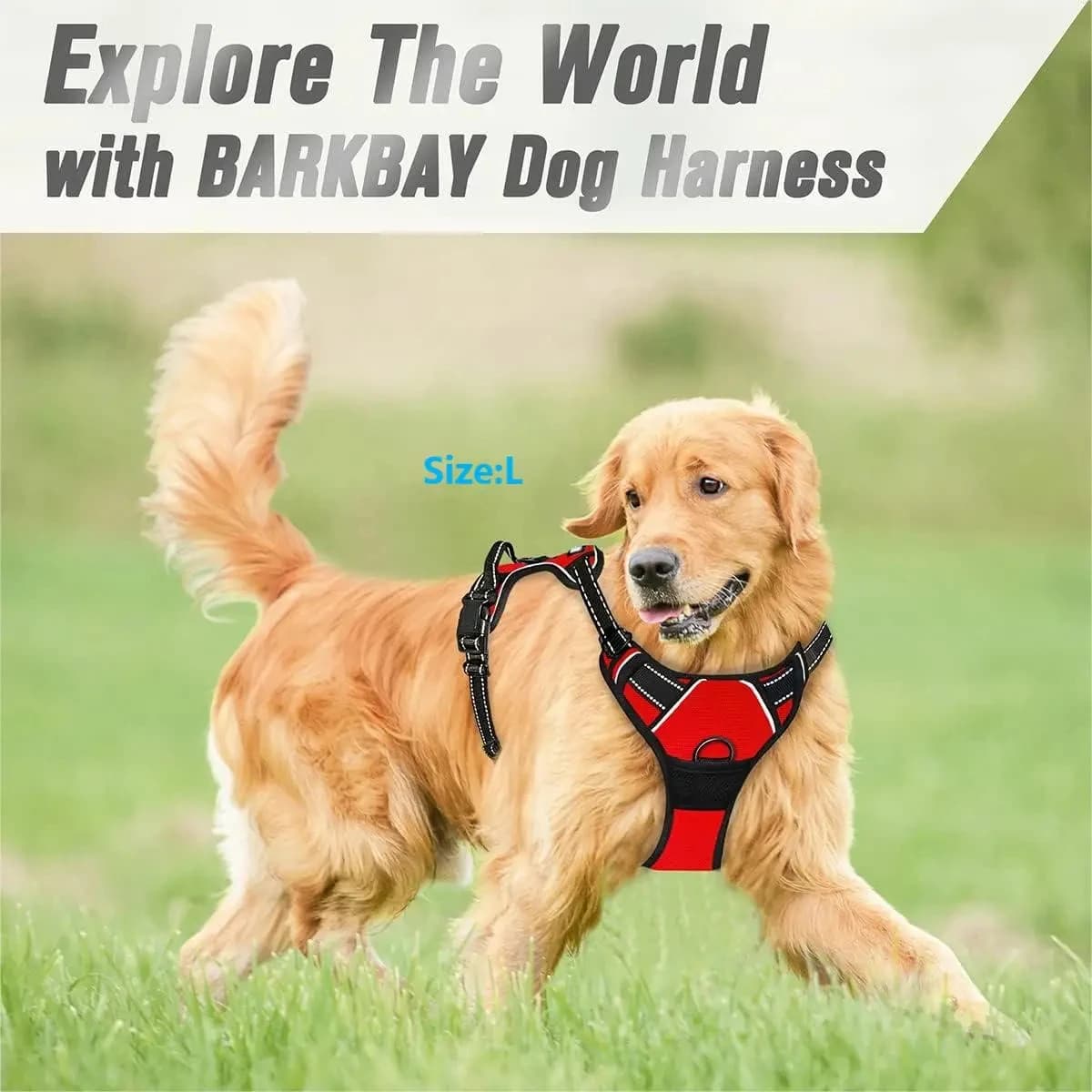 No Pull Harness Front Clip Large Dog Heavy Duty Reflective New para grande cil U — image 3
