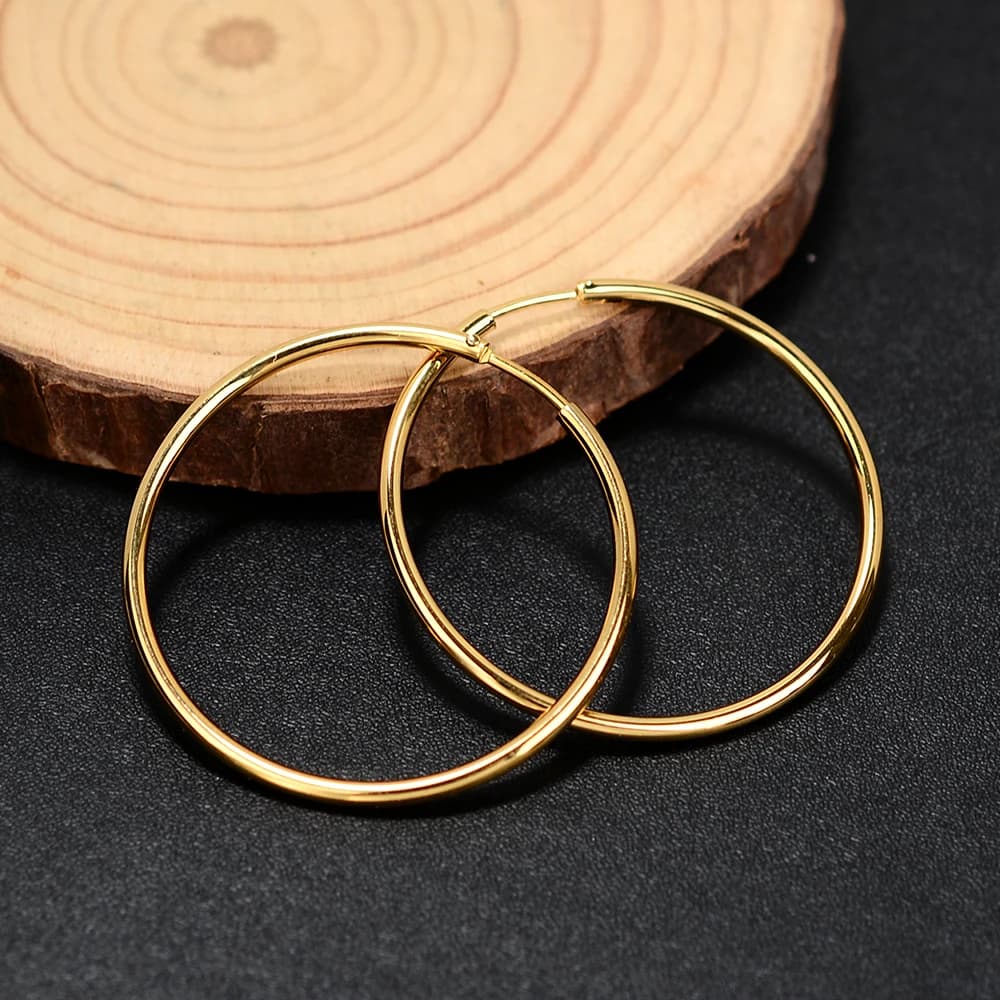2 Pcs Stainless Steel Round Hoop Earrings Huggie Gold Silver Punk Women Men — image 7