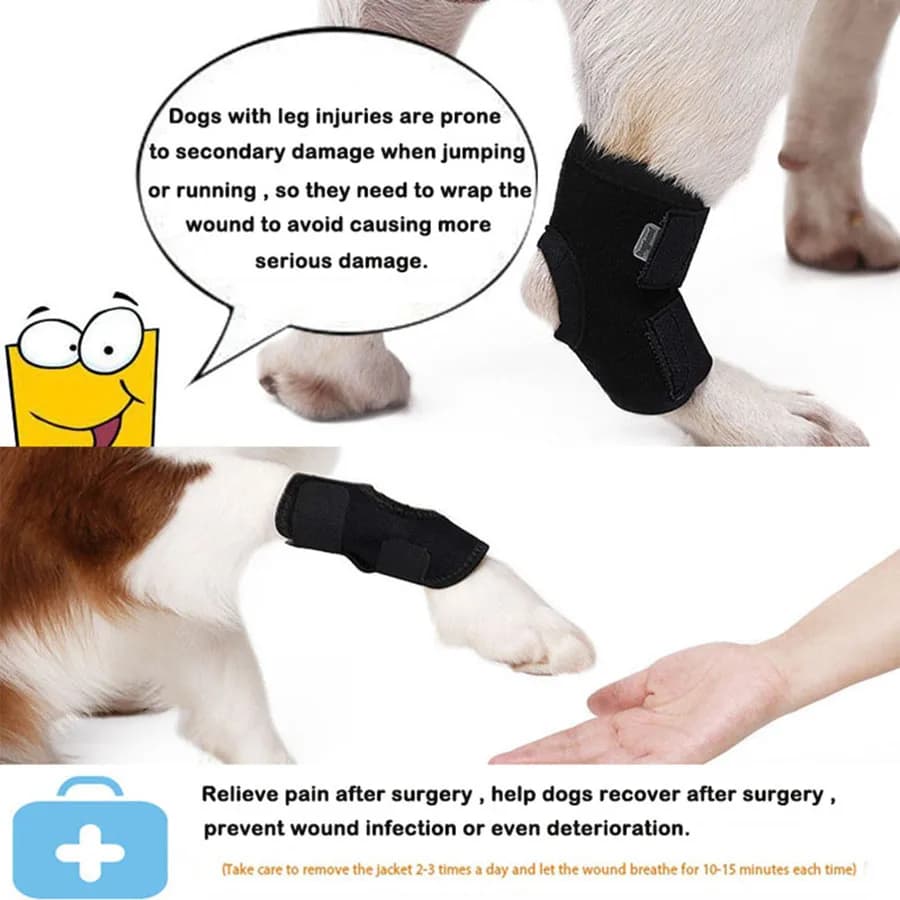 Dog Short Tube Joint Support Belt Post-Surgery Recovery Anti-Licking Leg Protector — image 3