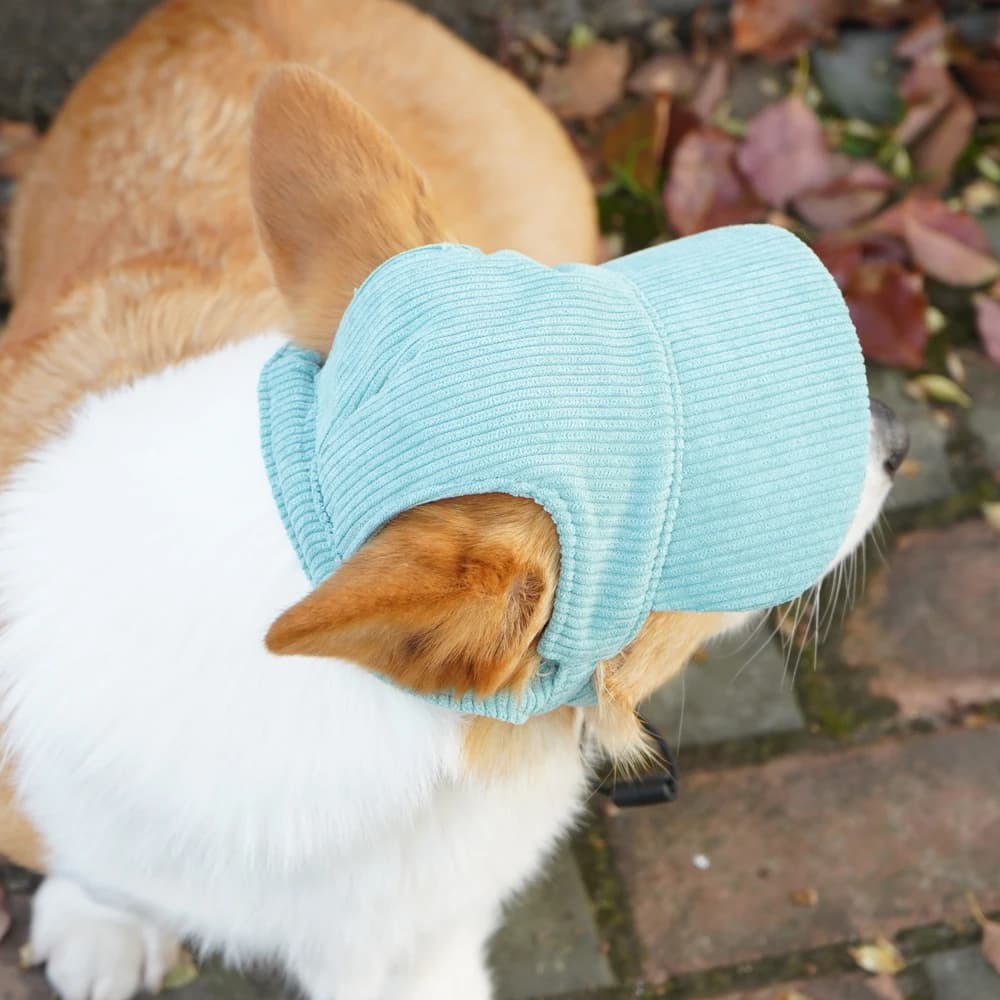 Dog Baseball Cap Corduroy Adjustable Pet Sun Hat Fashion Durable — image 5