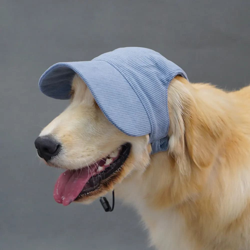 Dog Baseball Cap Corduroy Adjustable Pet Sun Hat Fashion Durable — image 4