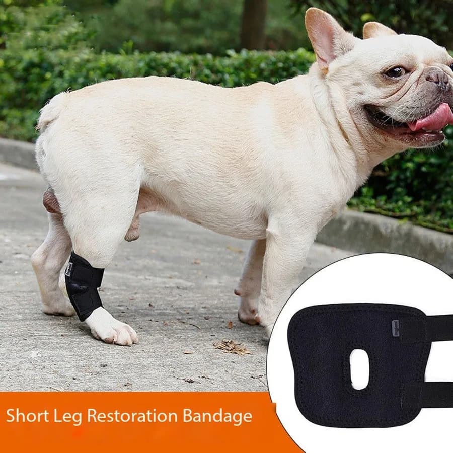 Dog Short Tube Joint Support Belt Post-Surgery Recovery Anti-Licking Leg Protector — image 6