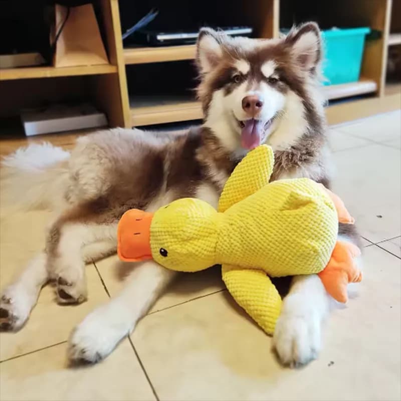 Dog Duck Toy Plush Interactive Pet Toy Relief Boredom Small Medium Large with UK — image 4