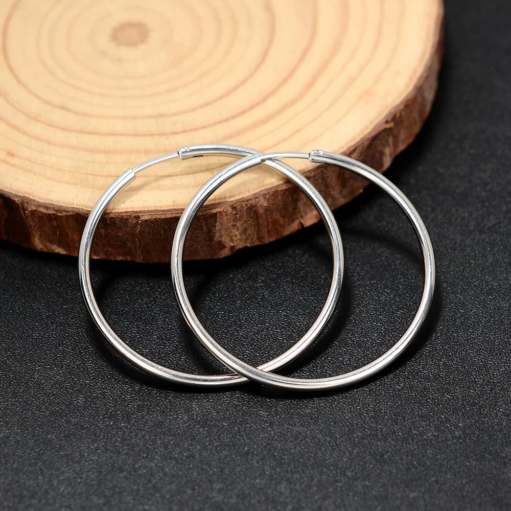 2 Pcs Stainless Steel Round Hoop Earrings Huggie Gold Silver Punk Women Men — image 8