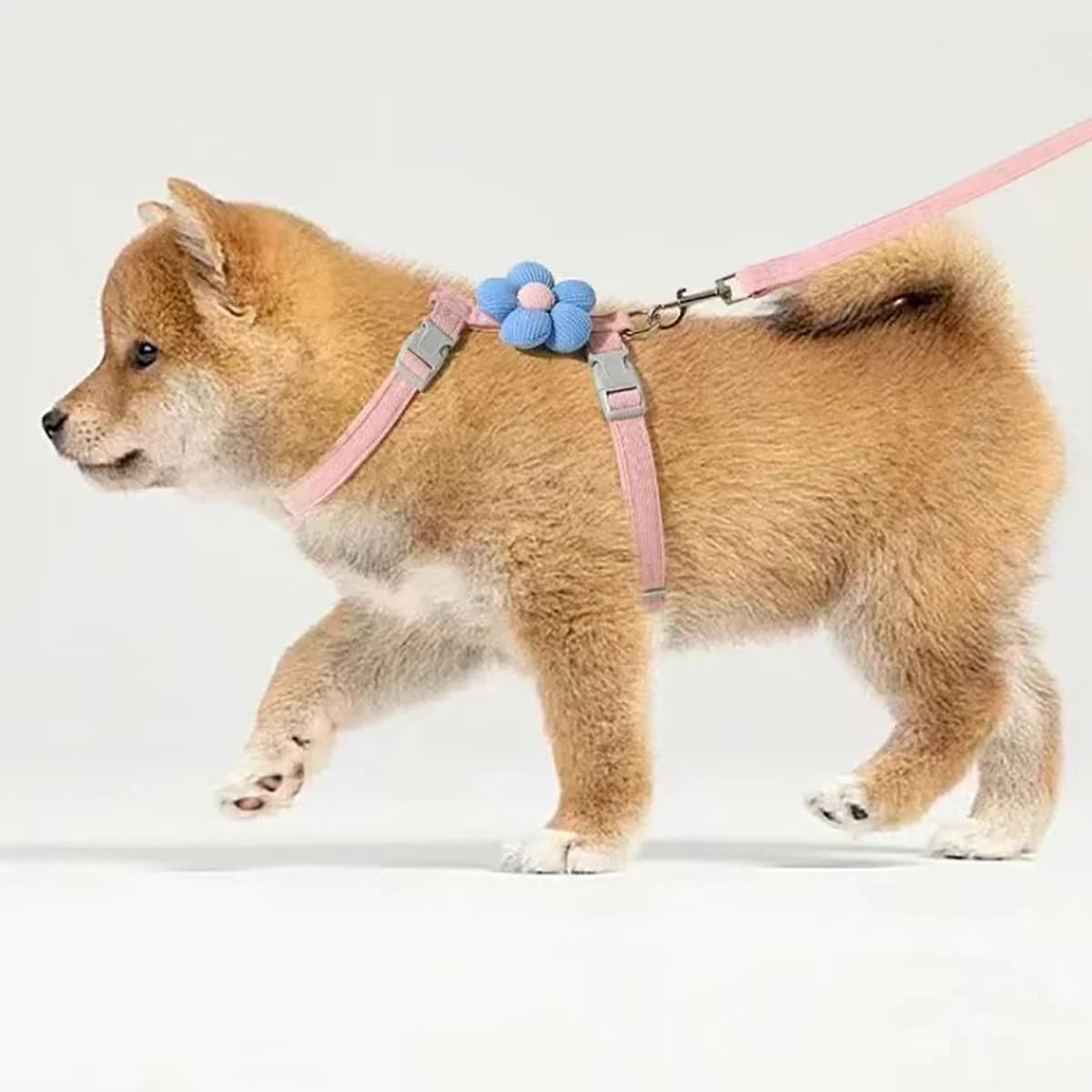 Cat Harness and Leash Set Adjustable Small Dog Pet Walking Strap New Sets for UK — image 5