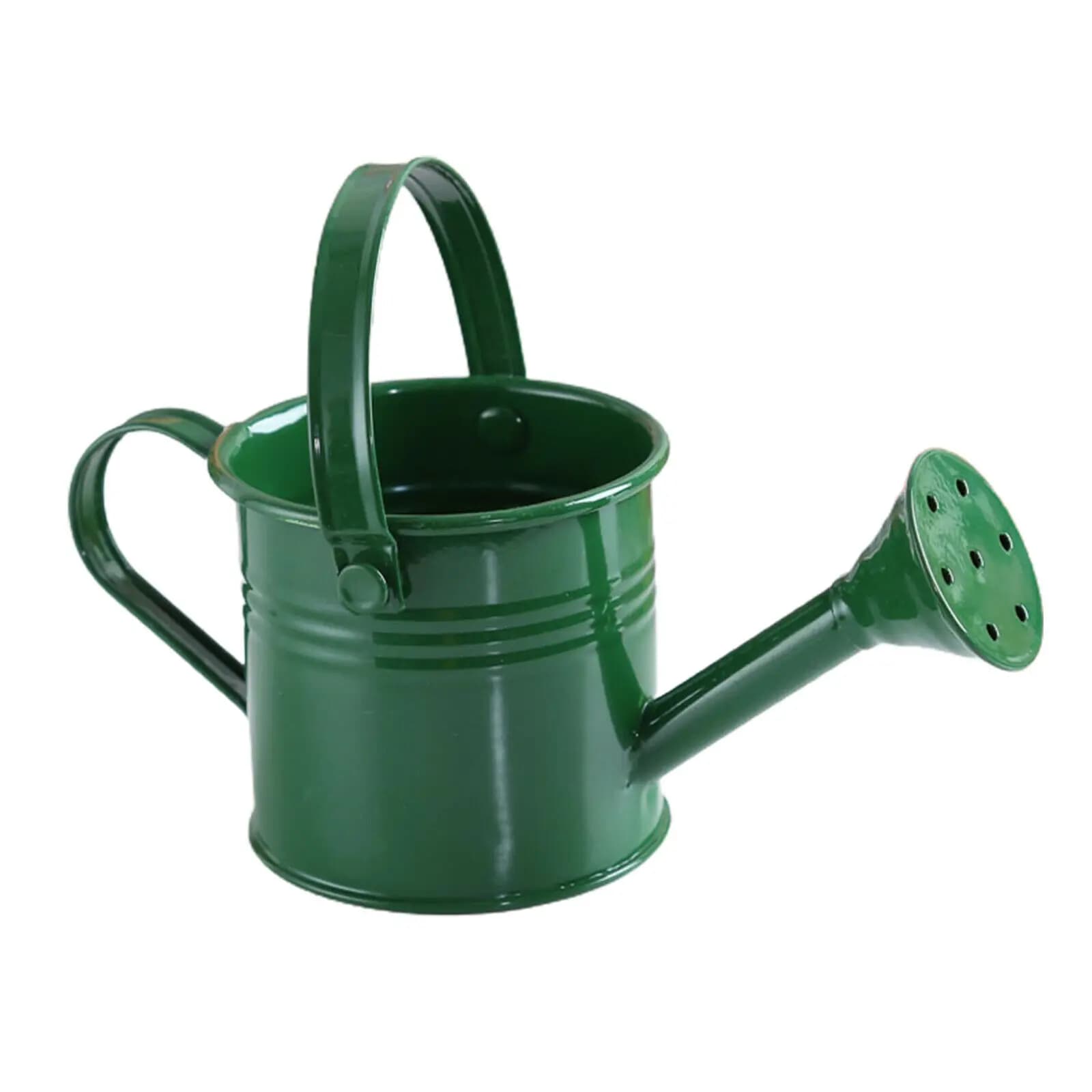 Metal Watering Can Garden Flower Kettle Mini Small Water Spraying Pot New 1PC UK — image 10