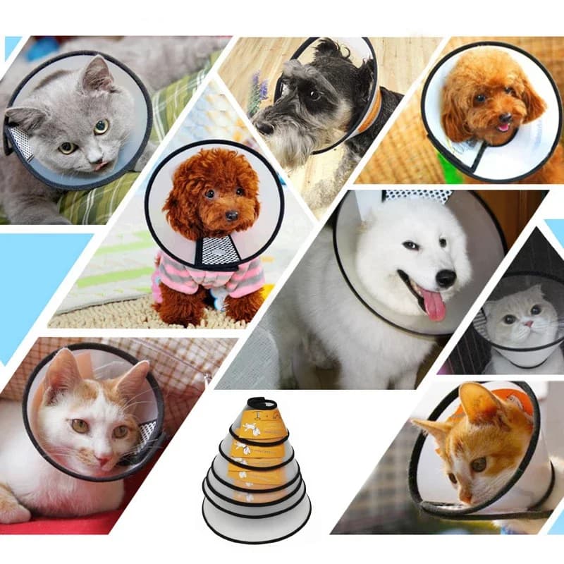 Pet Elizabethan Collar Puppy Anti Bite Grasping Collar for Small Dogs UK — image 4