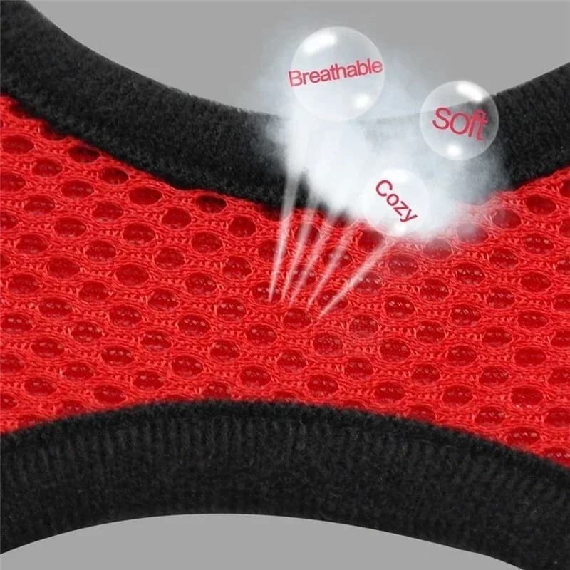 Adjustable Cat Harness and Lead Set Soft Vest No-Pull Pet Walking Training — image 4