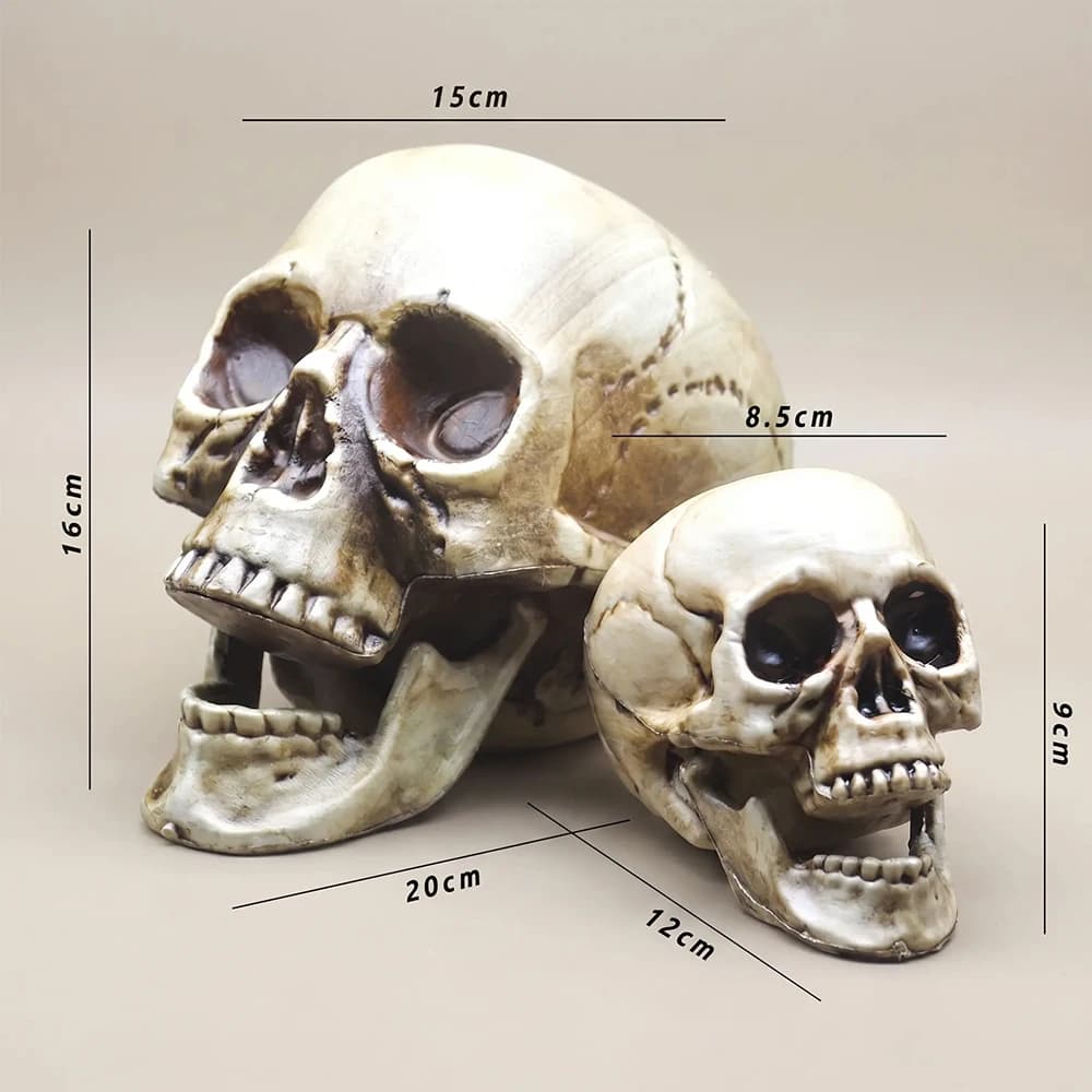 Plastic Skull Head Realistic Skeleton Halloween Party Haunted House Decor UK — image 7