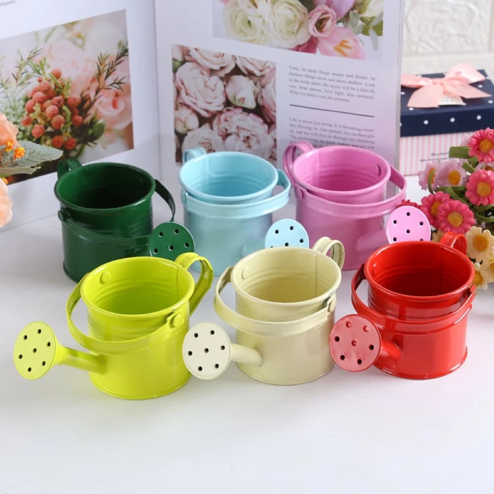 Metal Watering Can Garden Flower Kettle Mini Small Water Spraying Pot New 1PC UK — image 3