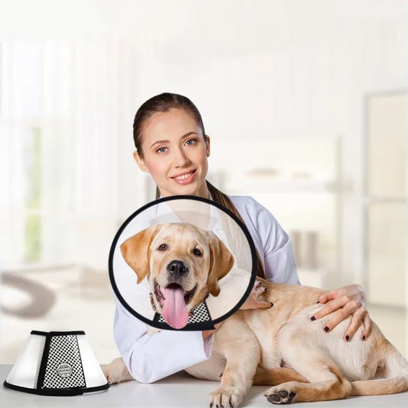 Pet Elizabethan Collar Puppy Anti Bite Grasping Collar for Small Dogs UK — image 3