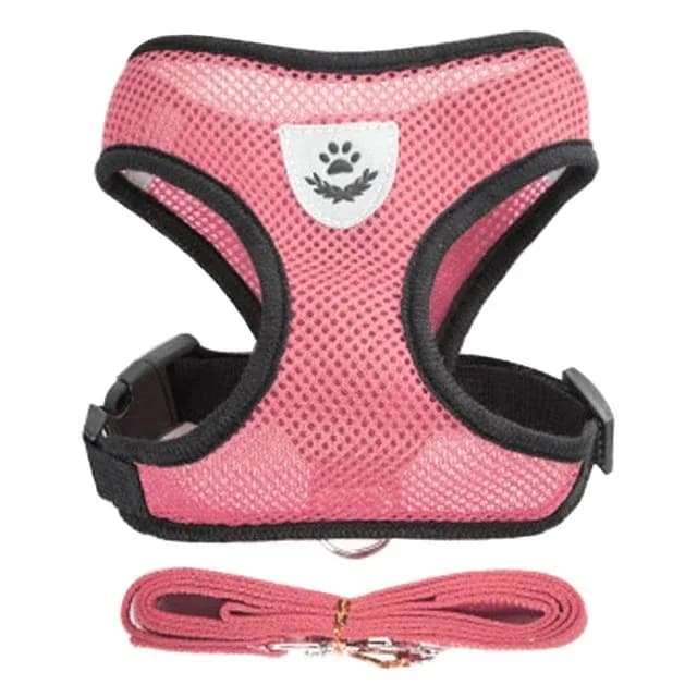 Adjustable Cat Harness and Lead Set Soft Vest No-Pull Pet Walking Training — image 13