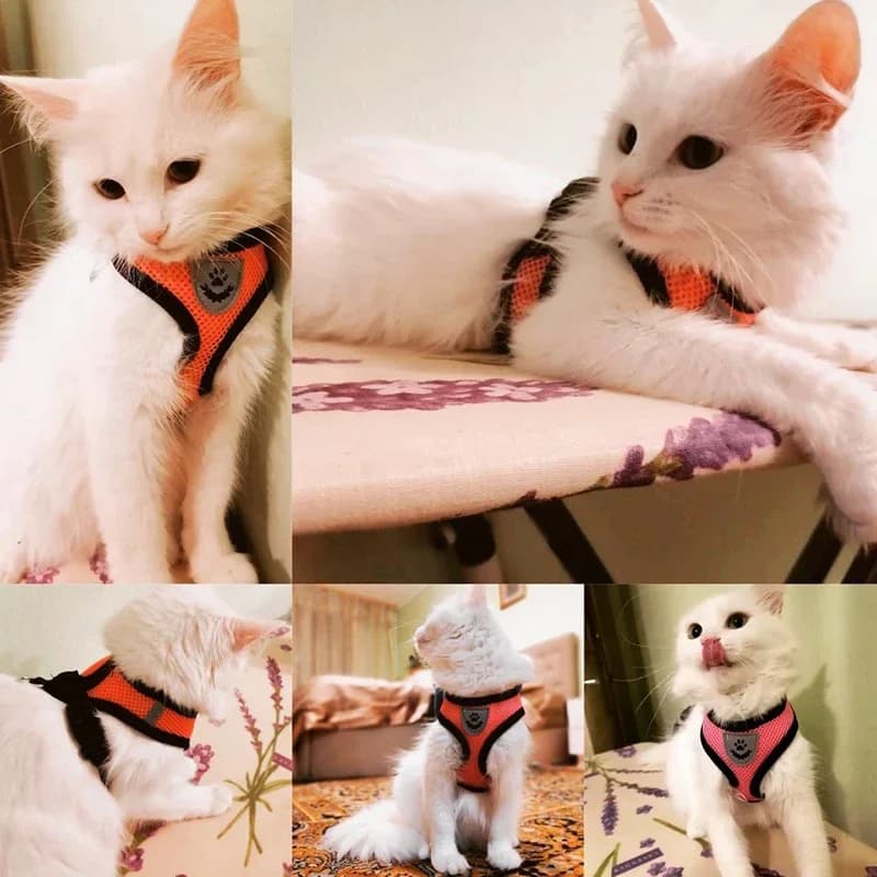 Adjustable Cat Harness and Lead Set Soft Vest No-Pull Pet Walking Training — image 2
