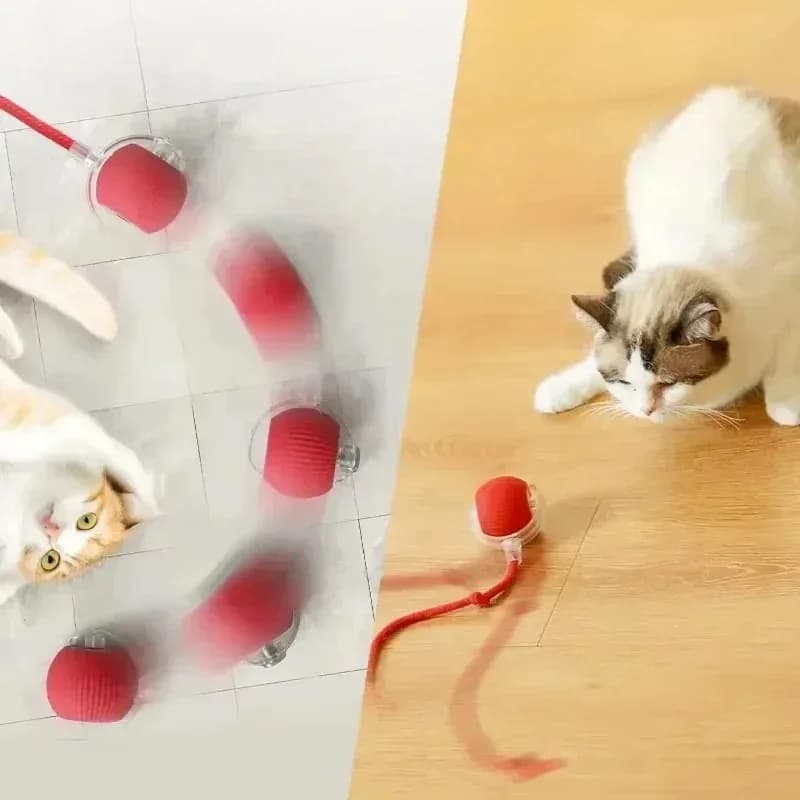 Cat Interactive Ball Toy Automatic Rolling Smart Pet Toy New with Tail Mouse for — image 3