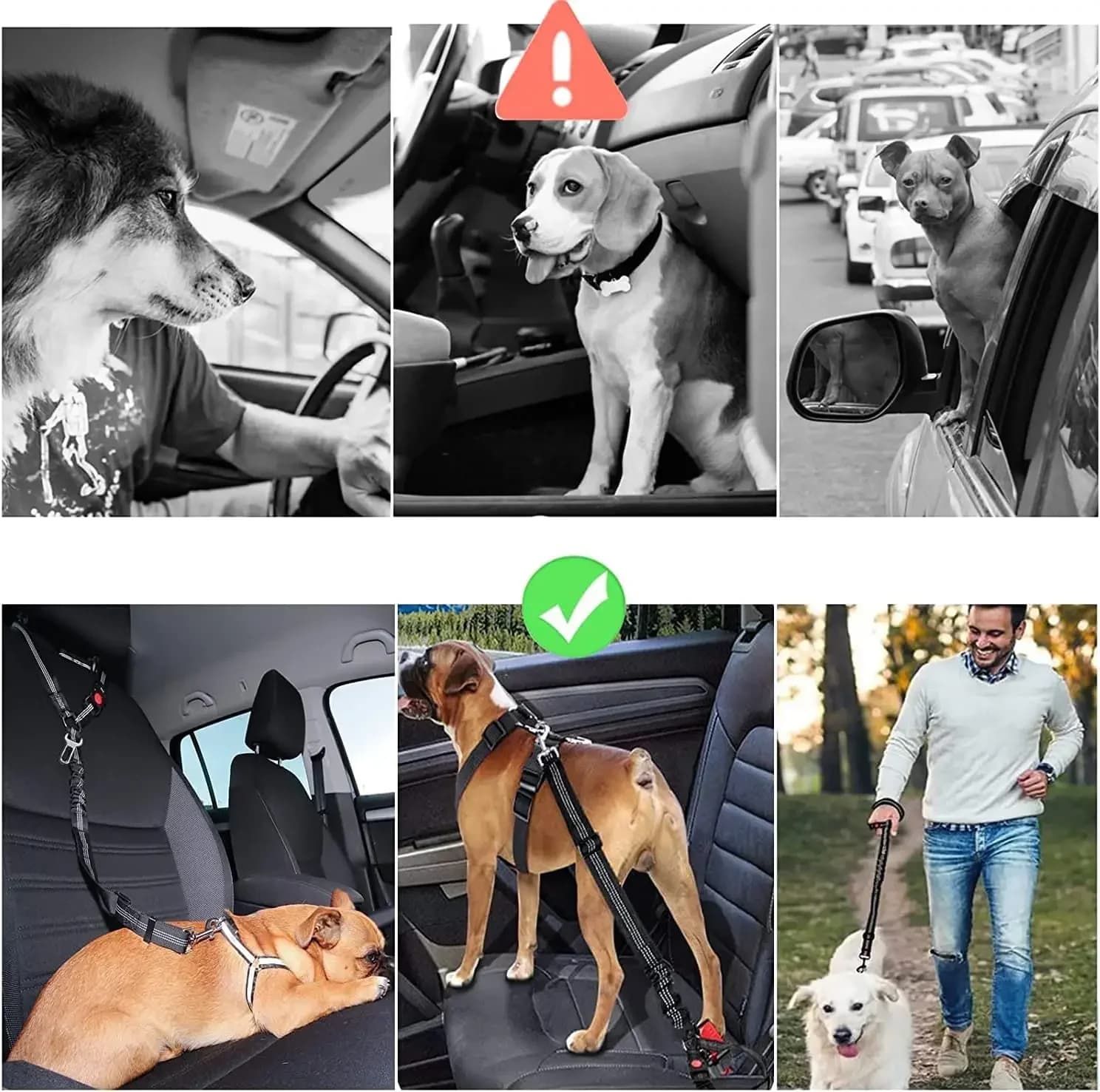 Dog Car Seat Belt Adjustable Reflective Pet Safety Collar New Accessories for UK — image 5
