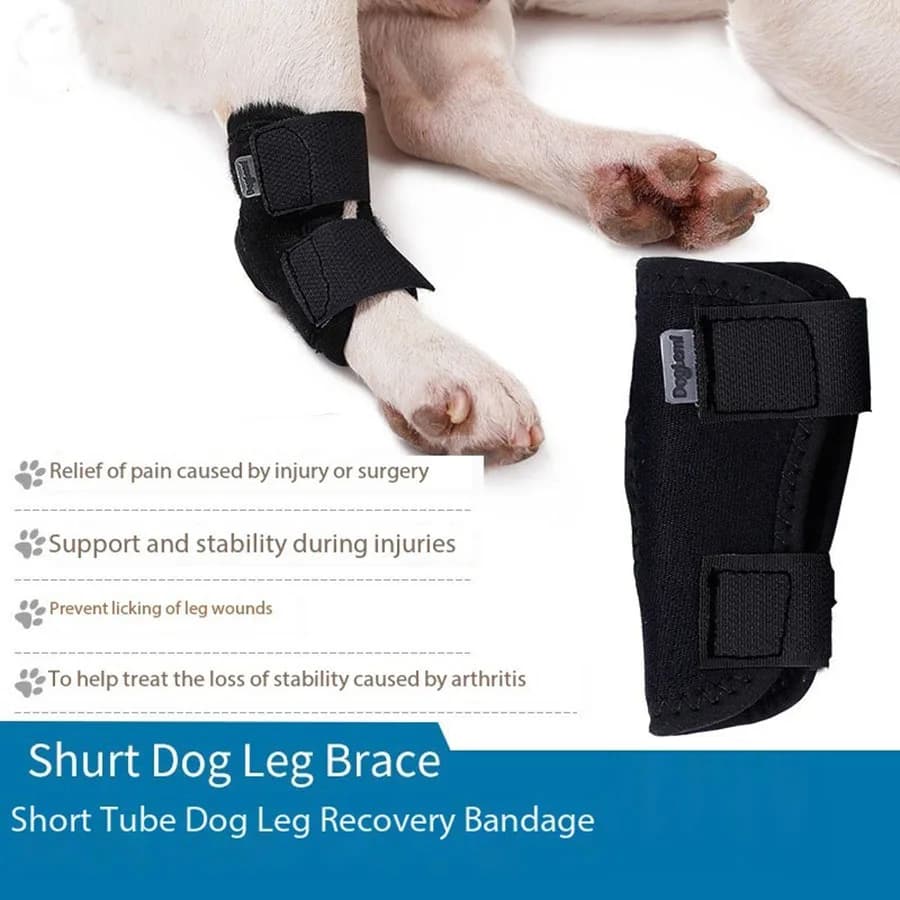 Dog Short Tube Joint Support Belt Post-Surgery Recovery Anti-Licking Leg Protector — image 4