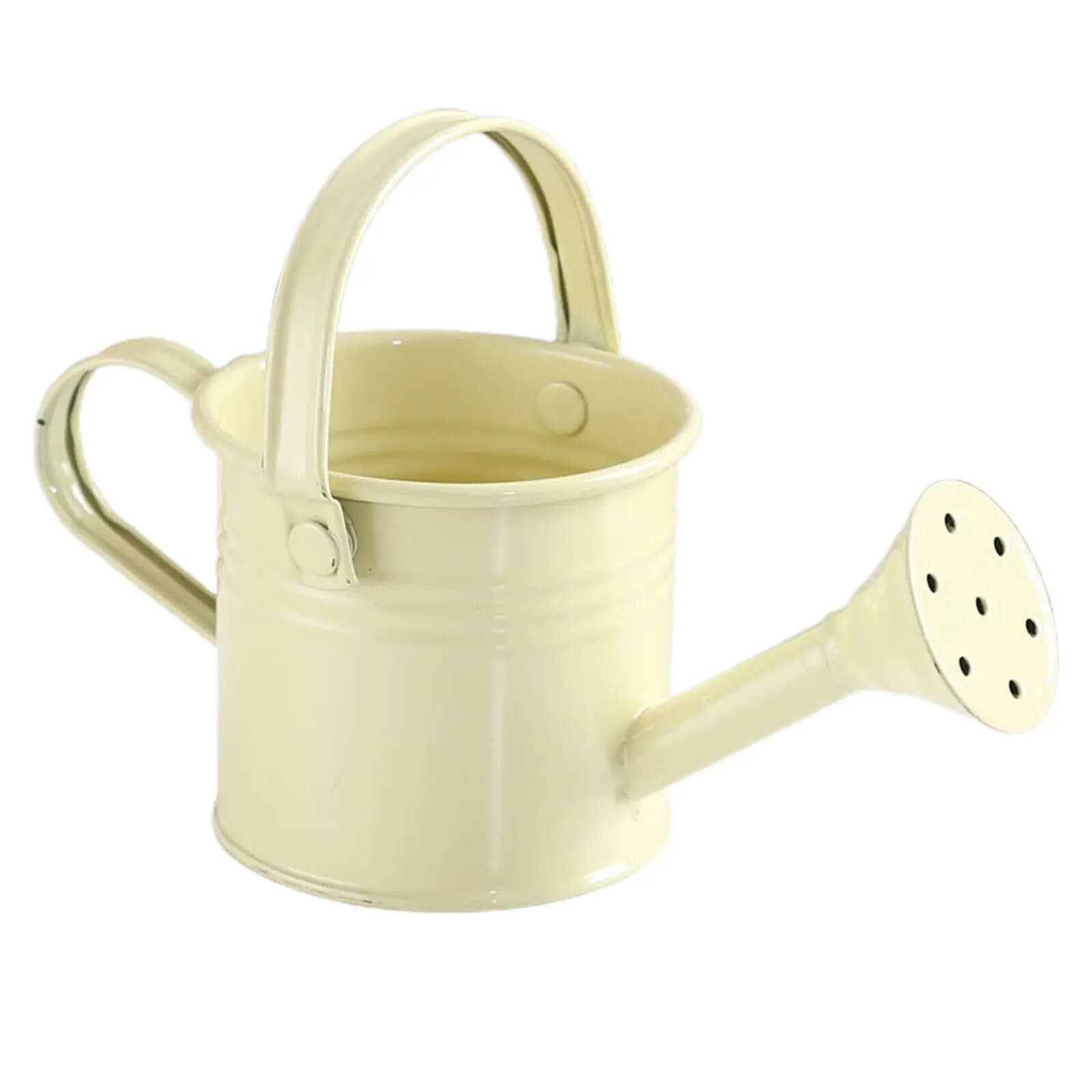 Metal Watering Can Garden Flower Kettle Mini Small Water Spraying Pot New 1PC UK — image 8