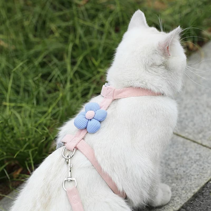 Cat Harness and Leash Set Adjustable Small Dog Pet Walking Strap New Sets for UK — image 2