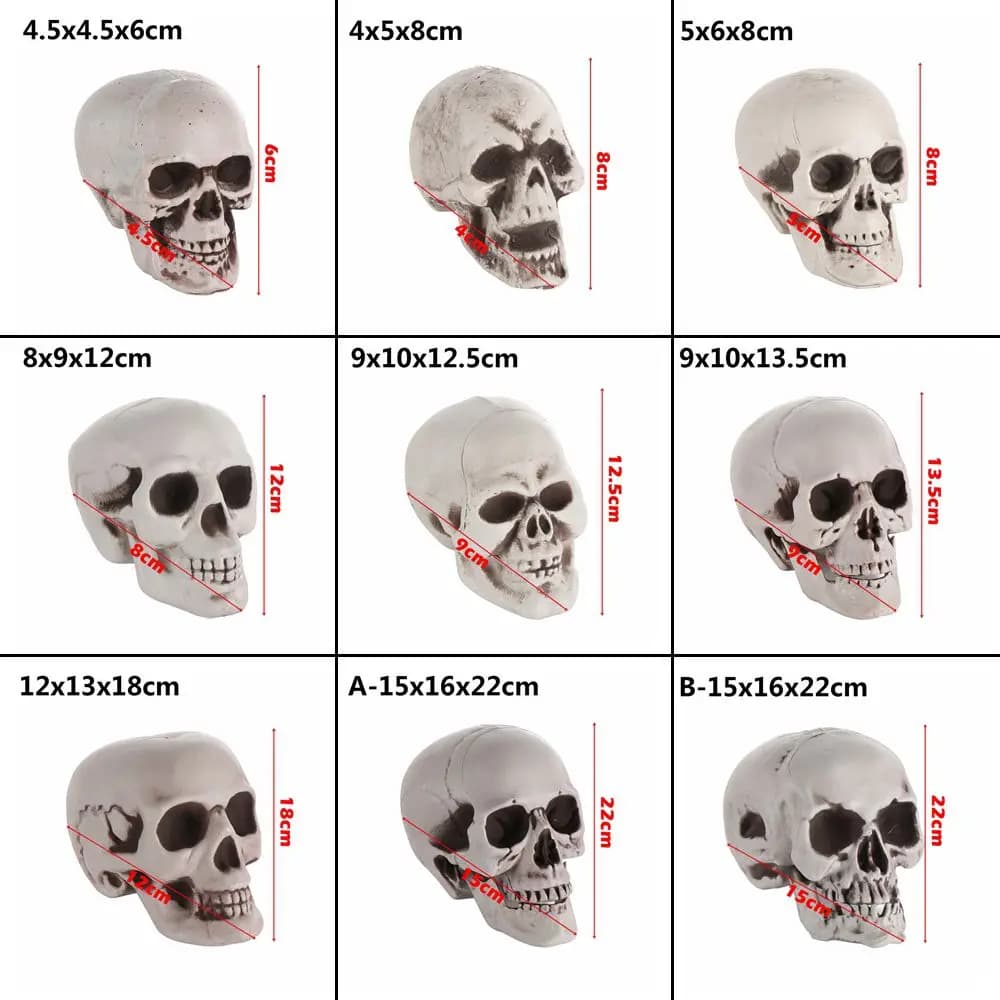 Skull Head Skeleton Halloween Photo Prop Party Decor Game Supplies for Home — image 6
