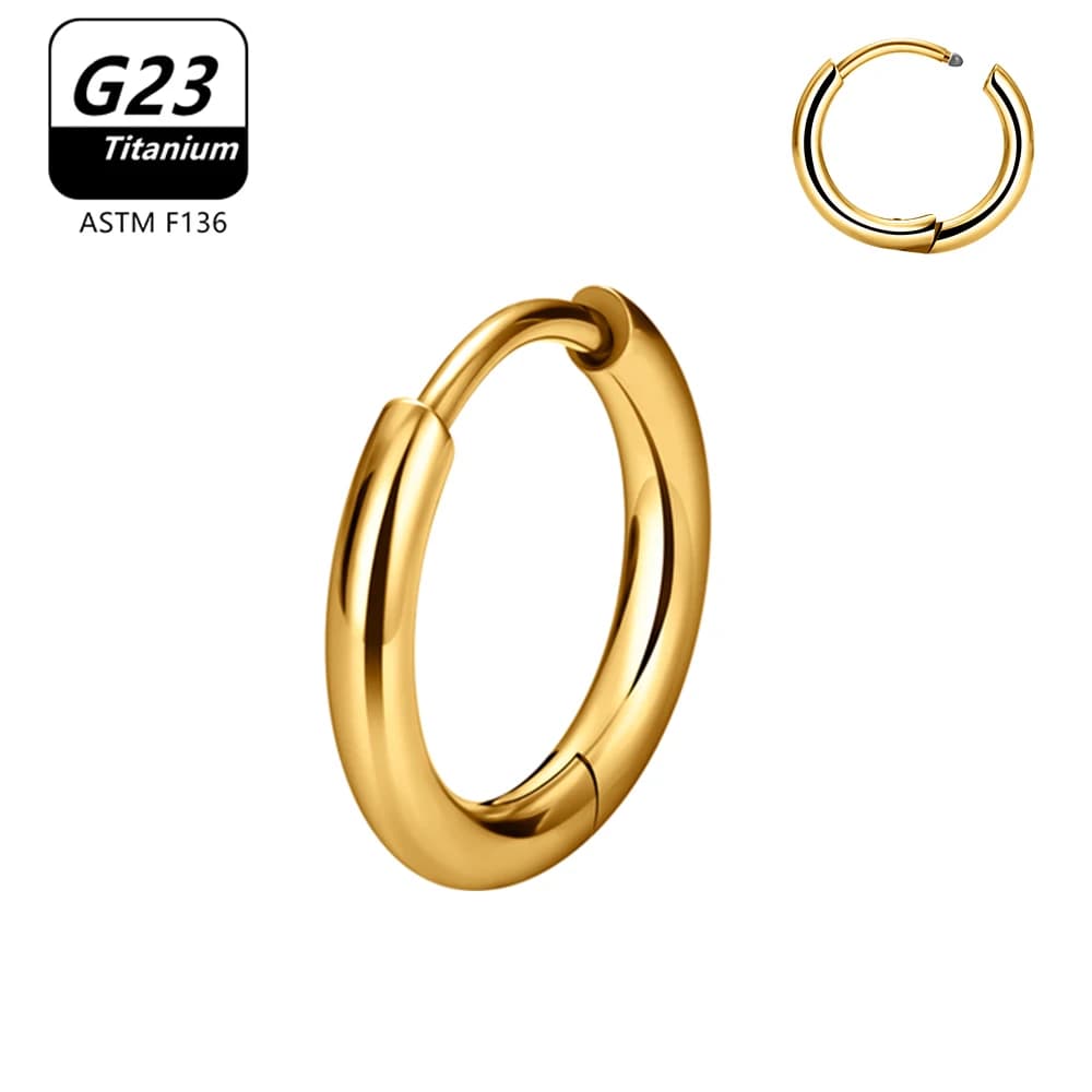 10 Pcs G23 Titanium Hoop Earrings Nose Ring ASTM F136 Body Jewellery — image 16