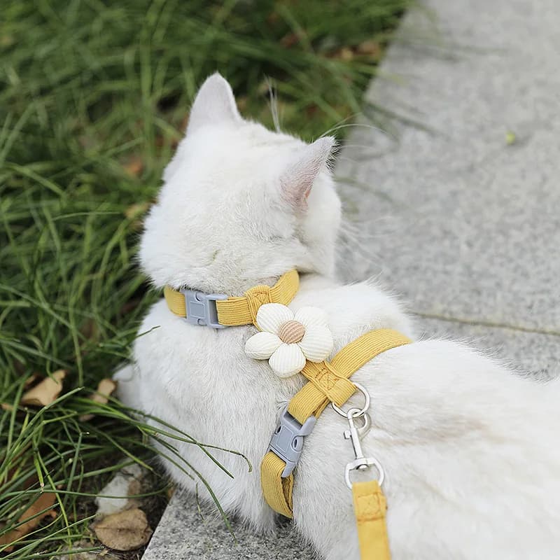 Cat Harness and Leash Set Adjustable Small Dog Pet Walking Strap New Sets for UK — image 4