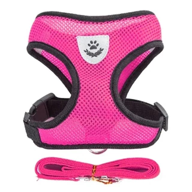 Adjustable Cat Harness and Lead Set Soft Vest No-Pull Pet Walking Training — image 8