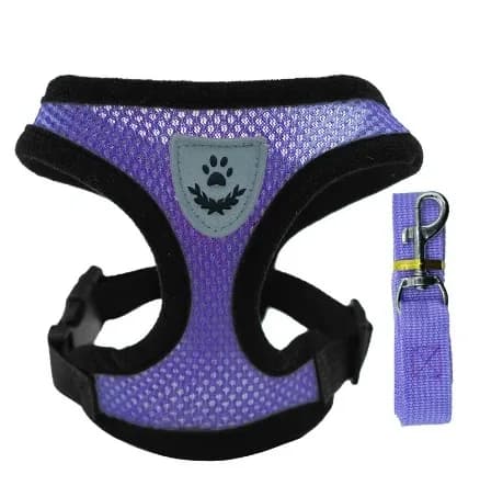 Adjustable Cat Harness and Lead Set Soft Vest No-Pull Pet Walking Training — image 9