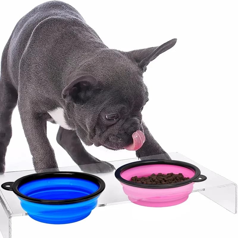 Pet Folding Silicone Bowl Collapsible Dog Food Water Travel Bowl Large Puppy — image 2