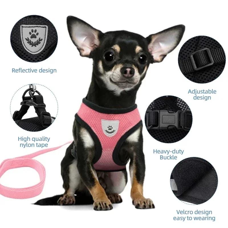 Adjustable Cat Harness and Lead Set Soft Vest No-Pull Pet Walking Training — image 3
