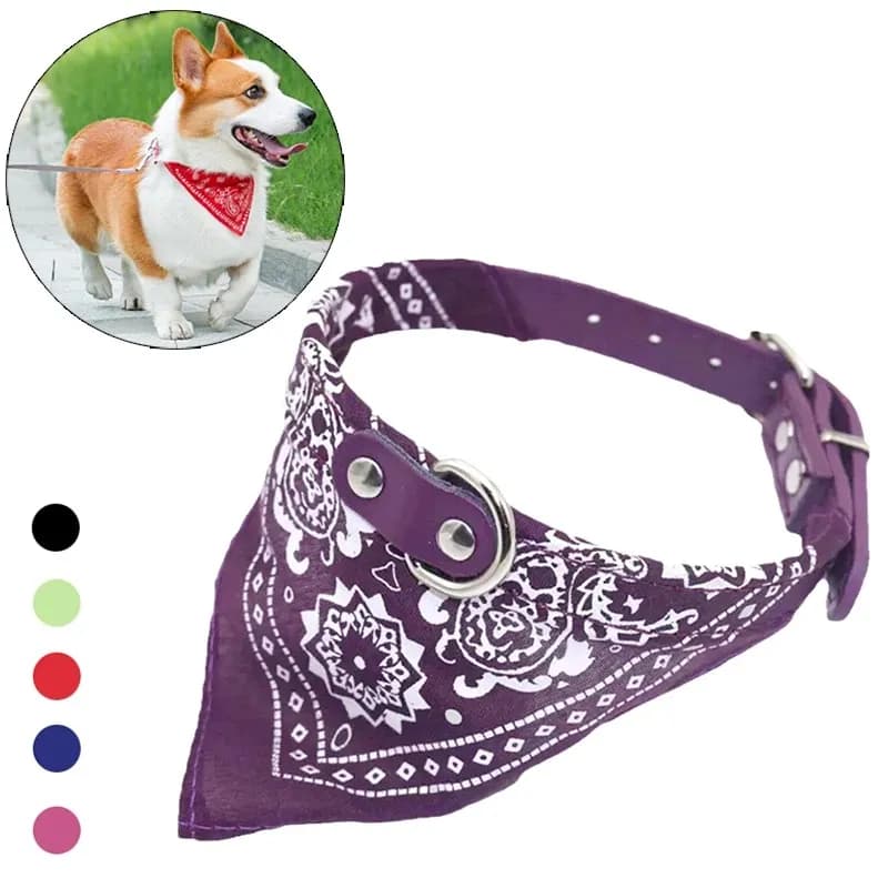 Drag to search (e.g. AliExpress) · Right-click to copy image